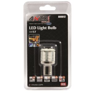 Bulb