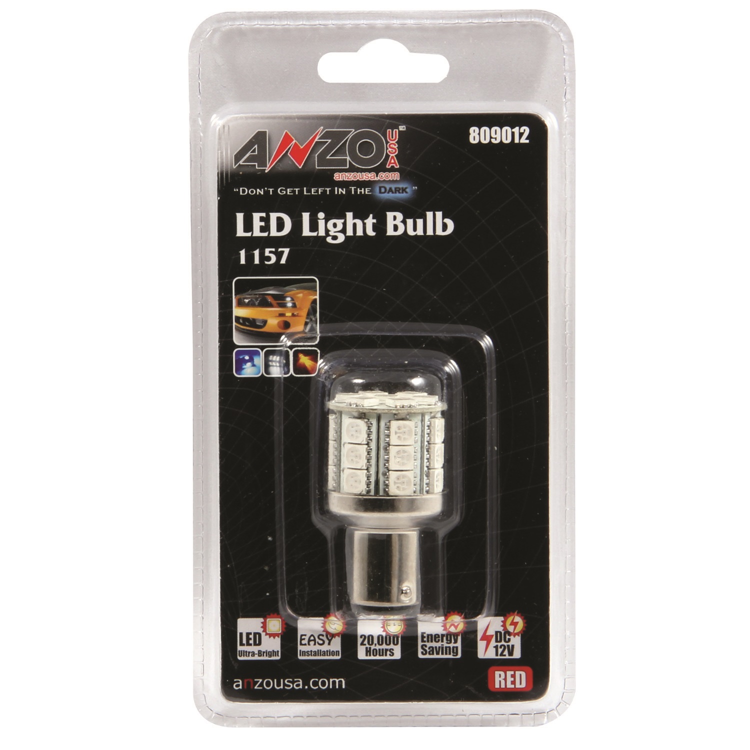 Bulb