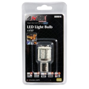 Bulb