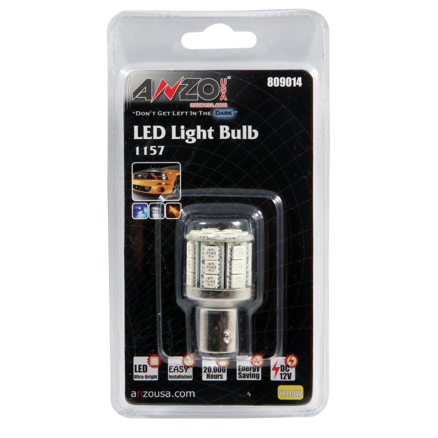 Bulb