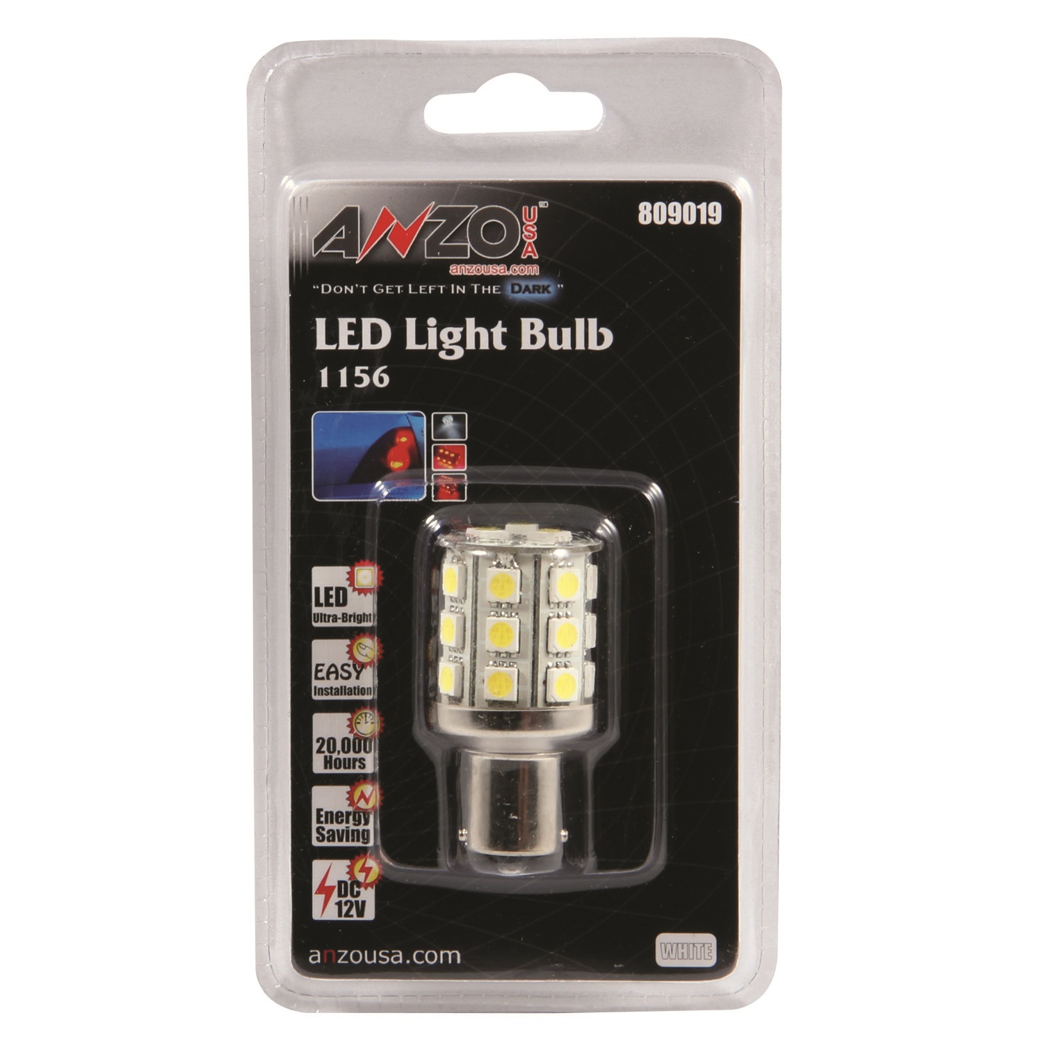 Bulb