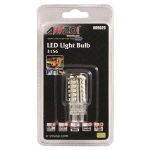 Bulb