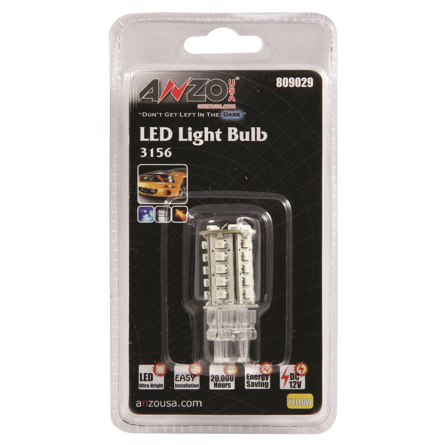 Bulb