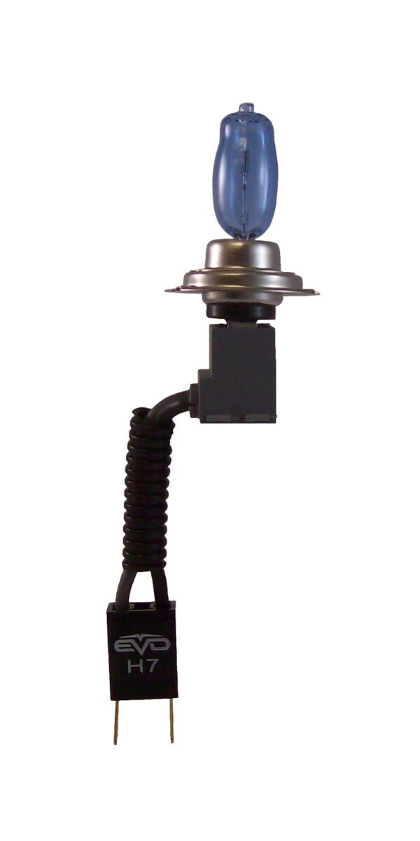 Cipa USA Bulb (93444)